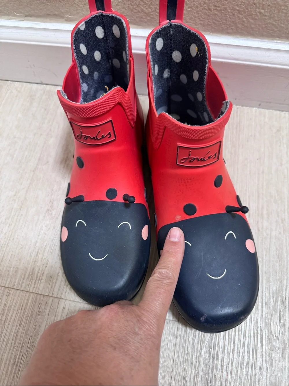 Joules playful ladybug